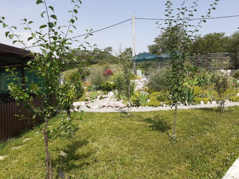  - Gradina 2021