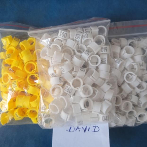 Cleme numerotate....-30 bani - Inele 2014