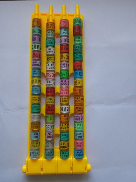 Suport inele....-20 lei - Inele 2014