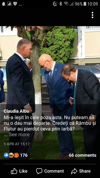  - Divertisment 5