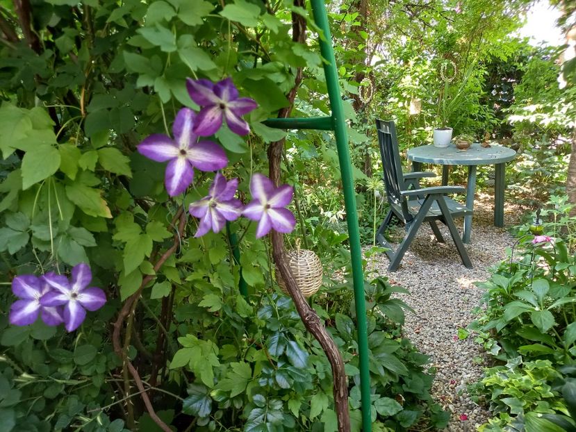  - Grădina 2021 continuare 2