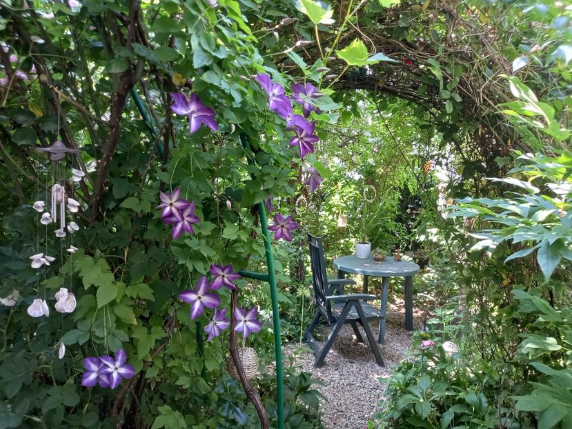  - Grădina 2021 continuare 2