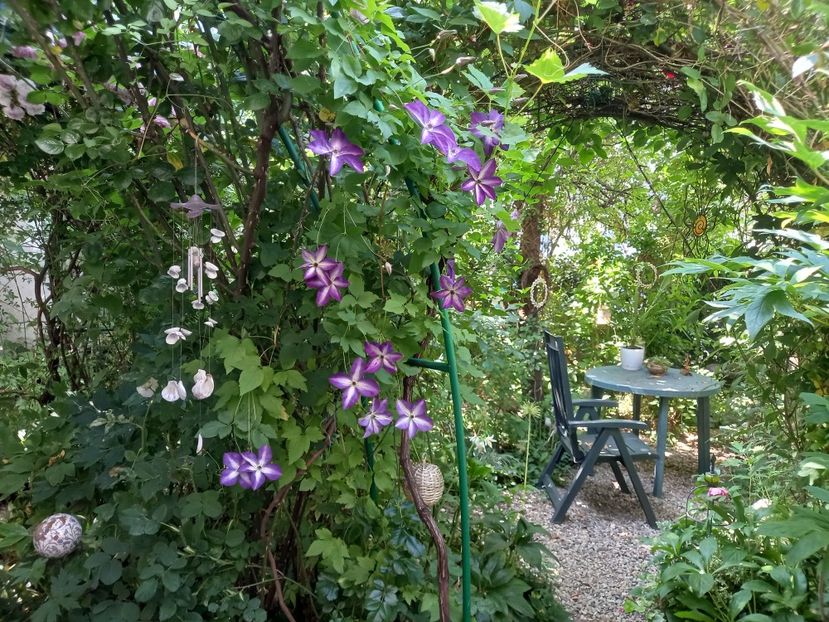  - Grădina 2021 continuare 2