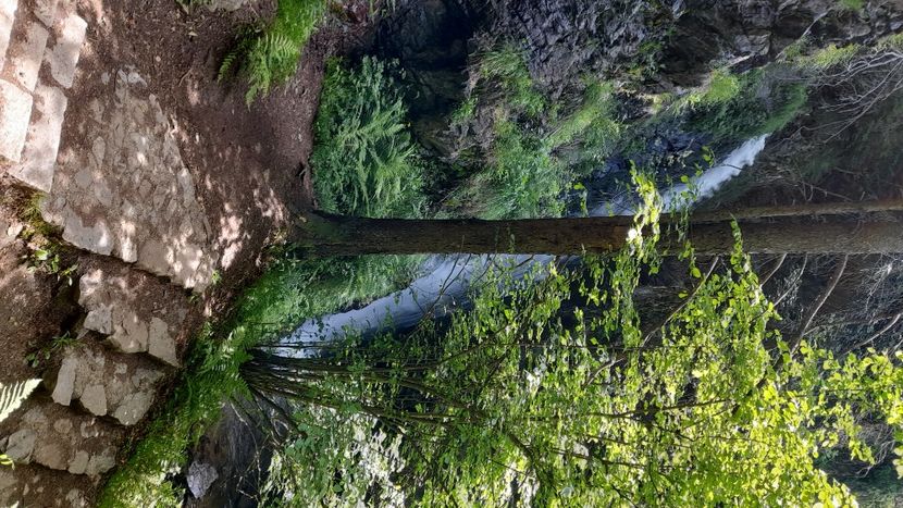 Cascada Todtnau - Prin Germania