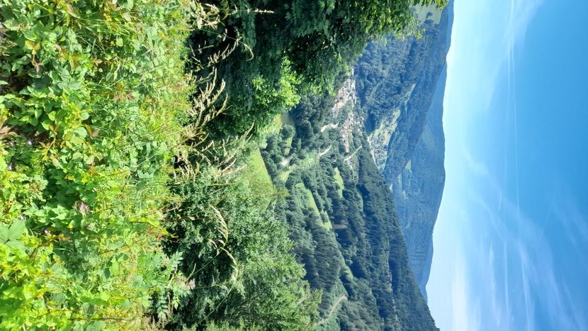 Todtnau - Prin Germania