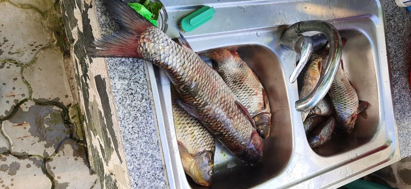  - vanatoare si pescuit