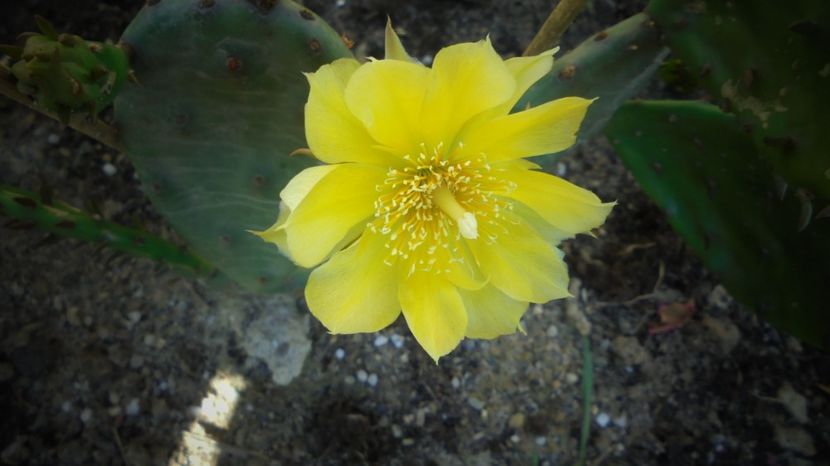 Multumiri,cate-ncap! - Sclipiri 2021