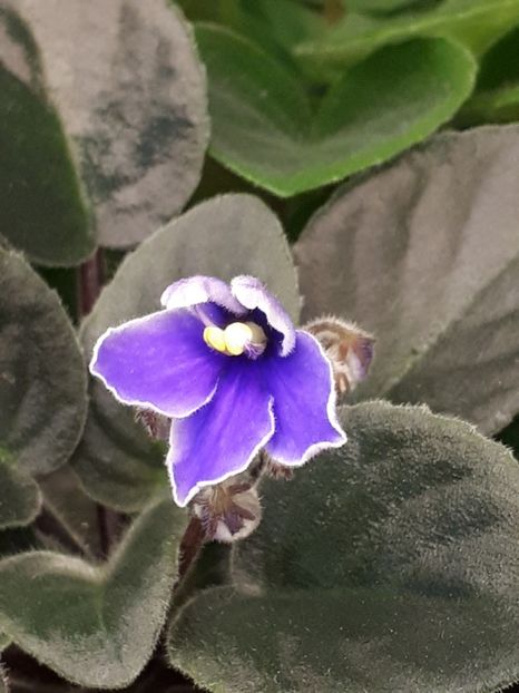  - ZZZJolly Dark Clouds