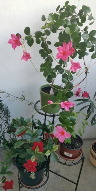 20210629_184043-1 - 2021