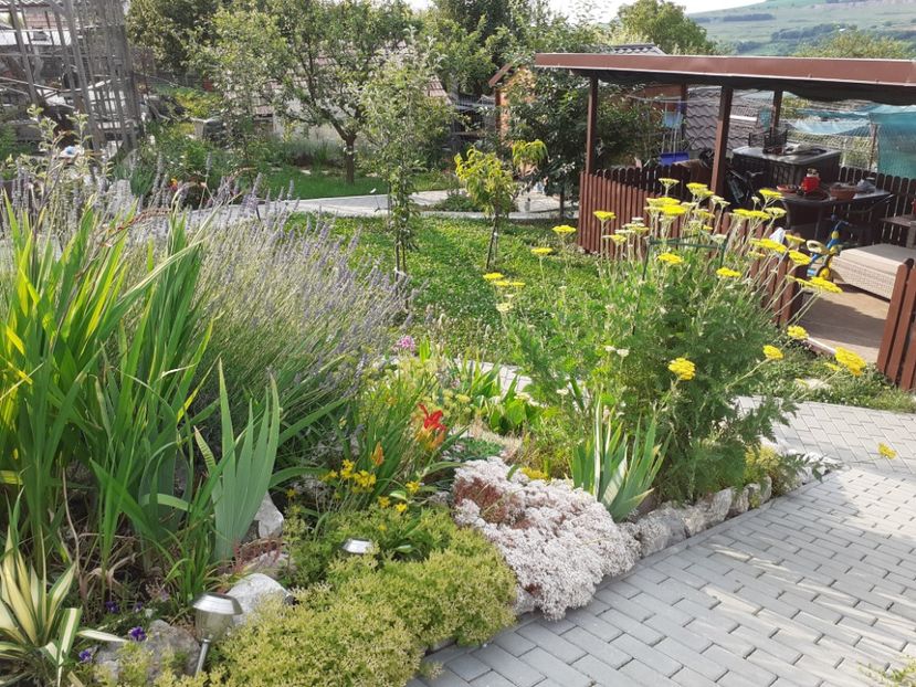  - Gradina 2021