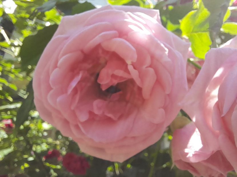 Parade (4) - Sfarsit de iunie