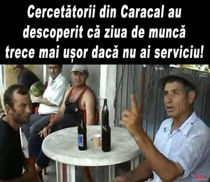  - Divertisment 5
