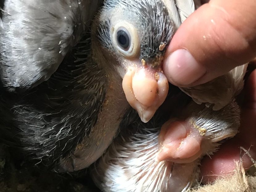 D50D5ABA-DCFE-4C76-B2FF-5FDA8318409F - Tineret 2021