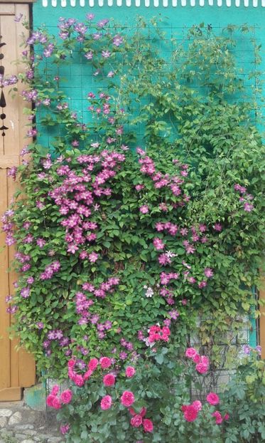 01 07 2021 - Ville de Lyon