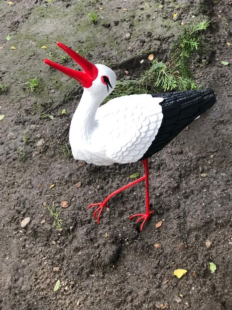 B0E8CC92-FCD6-426C-BA6B-A41221288151 - Achiziții de gradina 2021