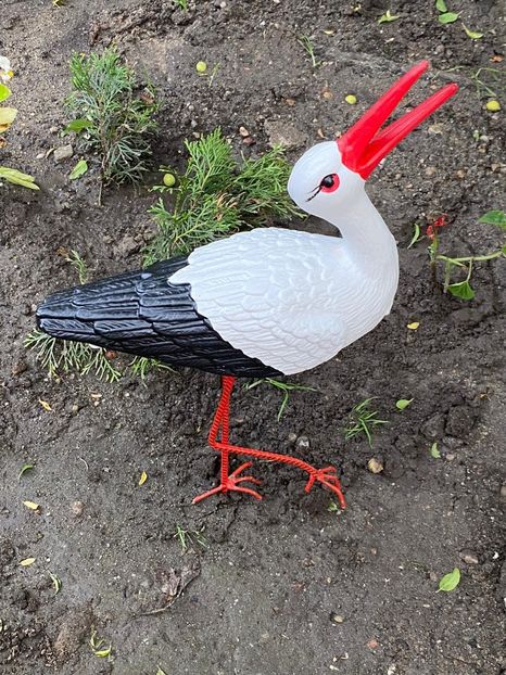 BFF41175-CF05-4A36-9ECF-EE1A252BBEC3 - Florile mele 2021 nr 2