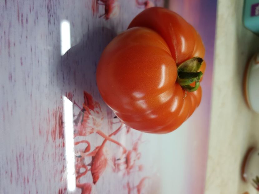 Alka - Iunie 2021 Tomate