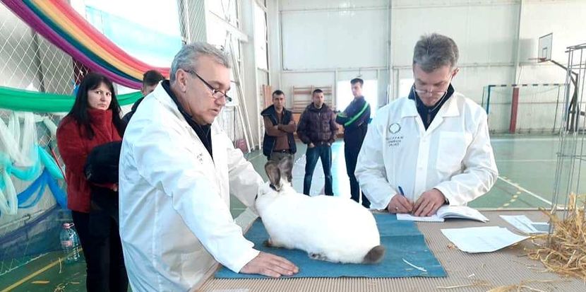  - Expozitia Constanța 2020
