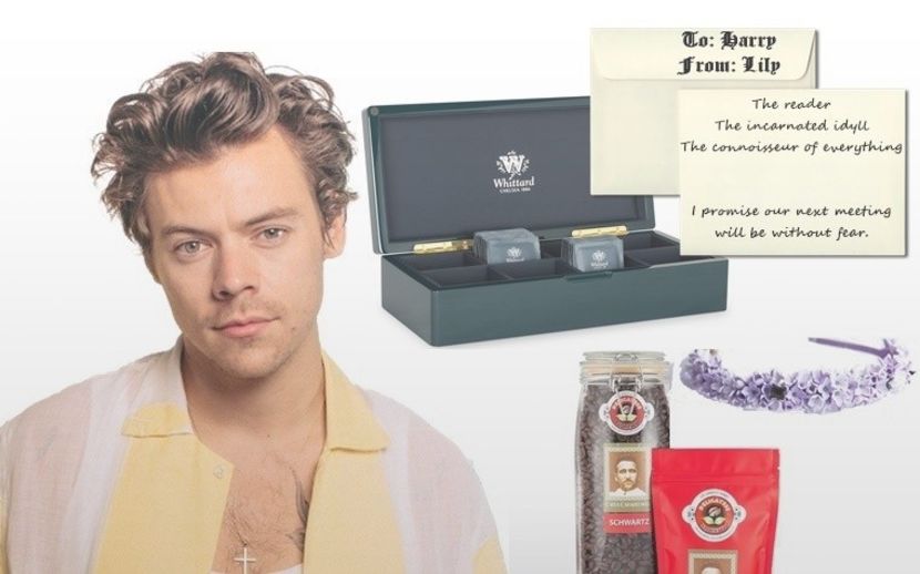 Harry - Secret Santa is coming to town