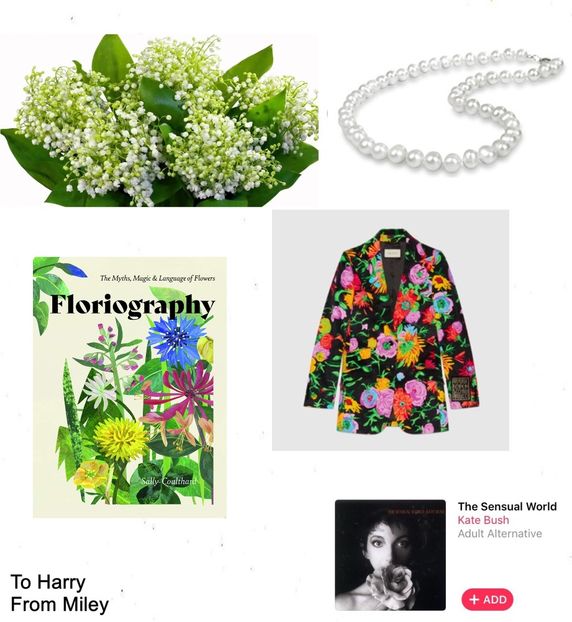 Harry, from Miley - Secret Santa is coming to town