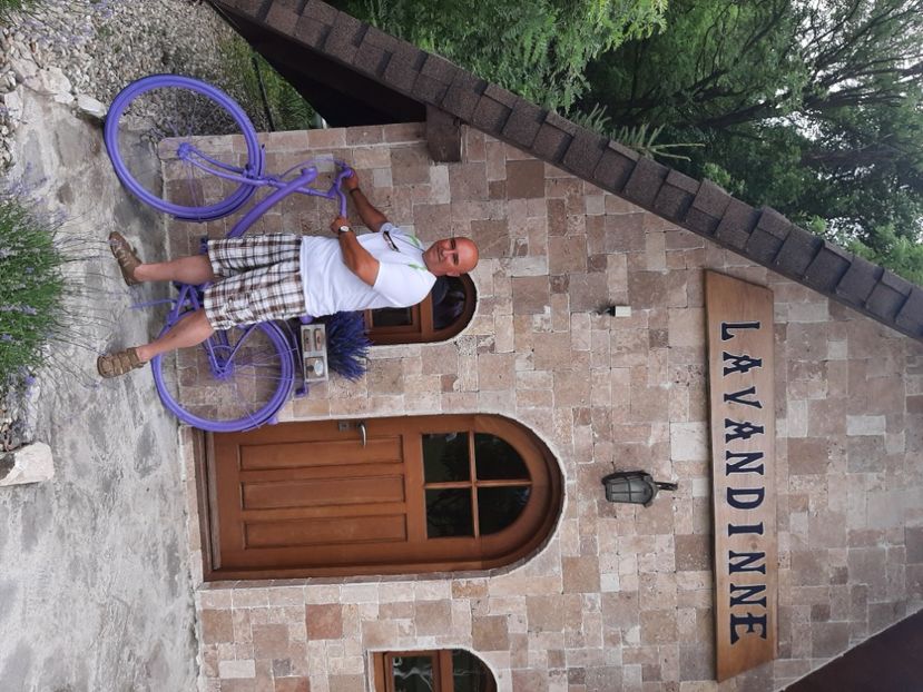  - În lanul de lavandă