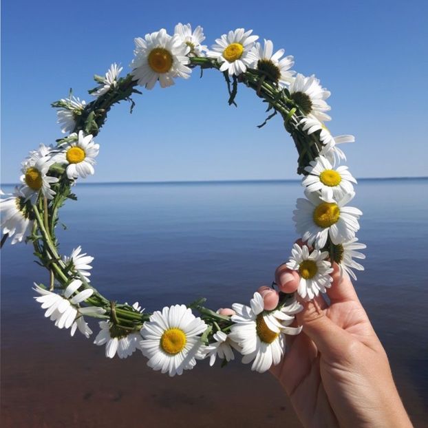 Lucy received from Candy a handmade daisy flowercrown to show that she has finally - Secret Santa is coming to town