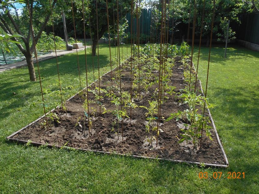  - 02 Gradina de legume 2021