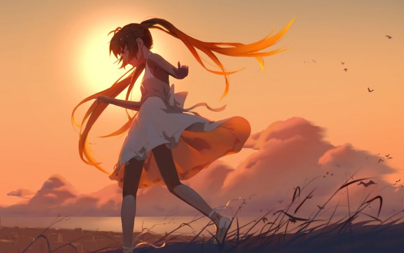 Konachan_com___249470_animal_bird_dress_hatsune_miku_long_hair_sky_summer_dress_sun_jie_sunset_twint - POZE DESKTOP 2022