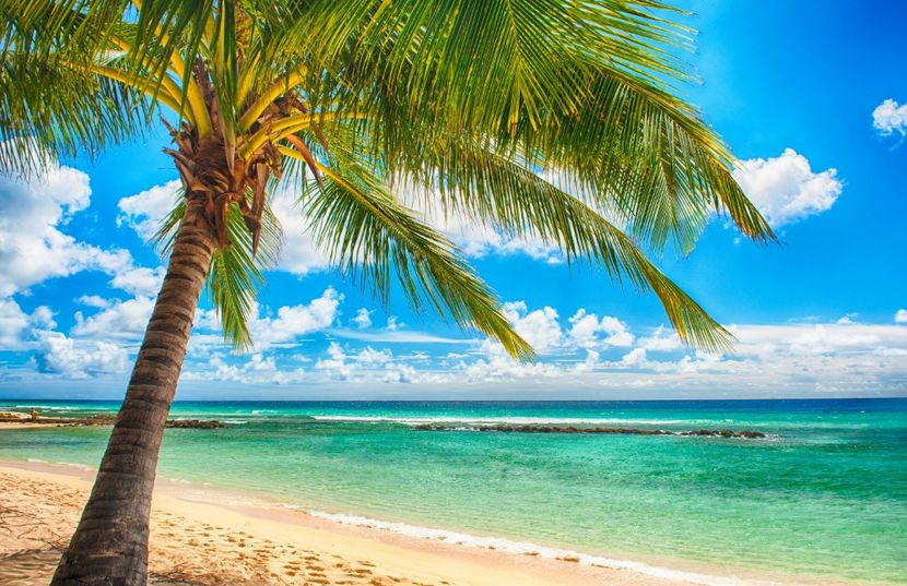 paradise_sea_summer_ocean_beach_tropical_palms_sunshine_6016x3898 - POZE DESKTOP 2022