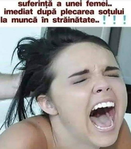  - Divertisment 5