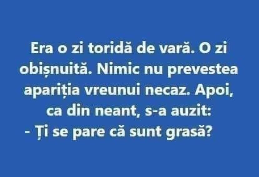  - Divertisment 5