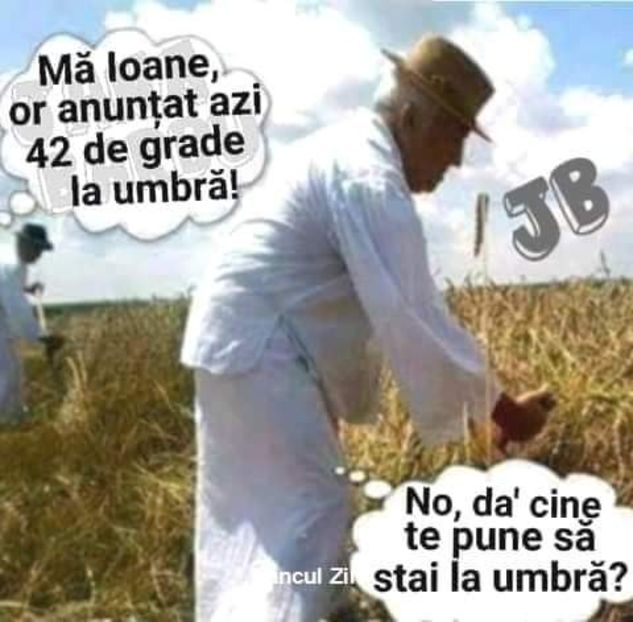  - Divertisment 5