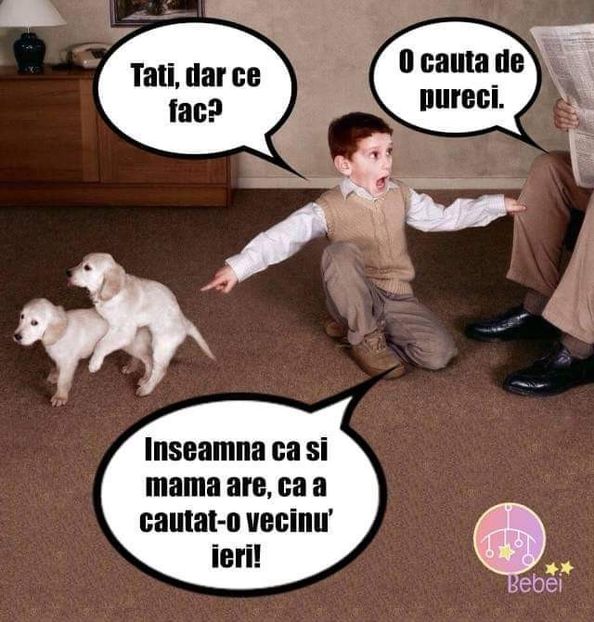  - Divertisment 5