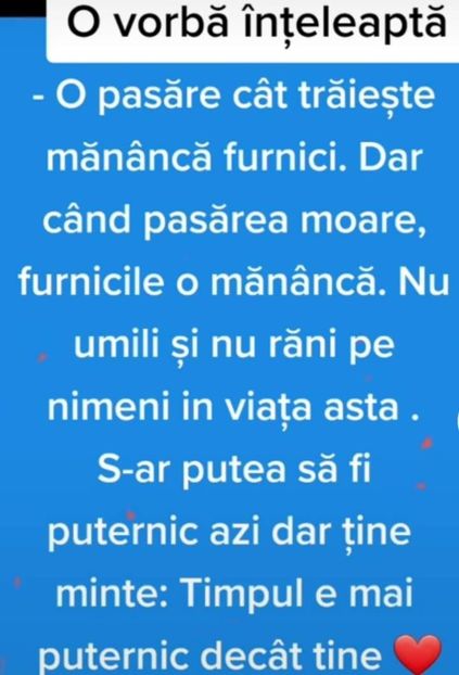  - Divertisment 5