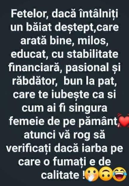  - Divertisment 5