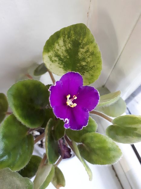  - zzz23 Rechka Severka