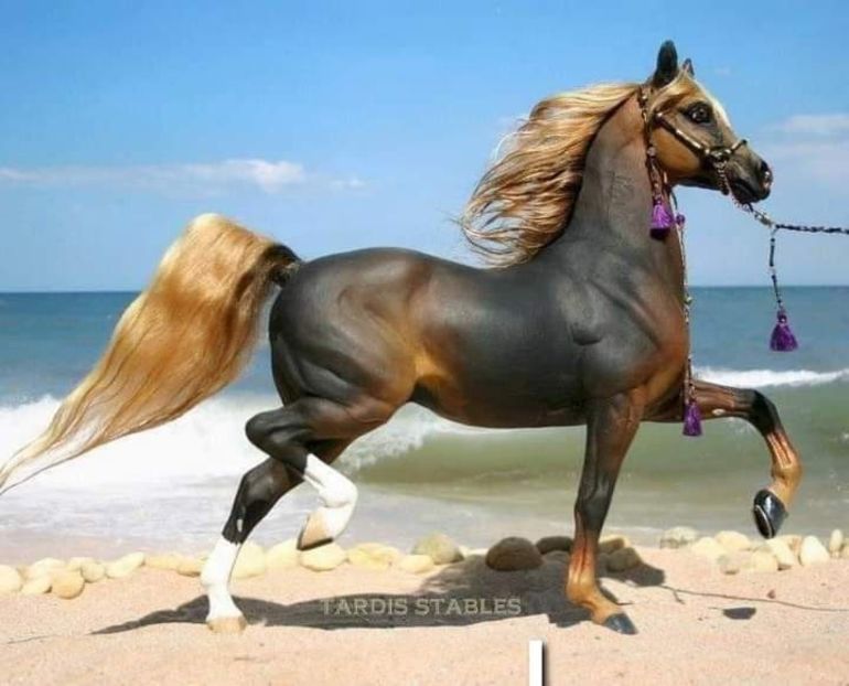  - Cai animale nobile