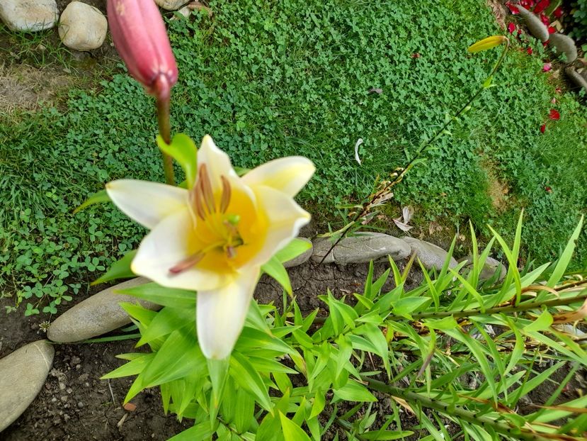  - Un nou inceput 2021