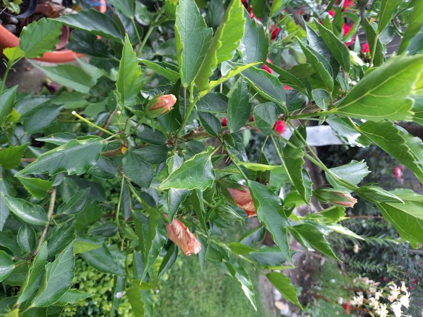  - Un nou inceput 2021