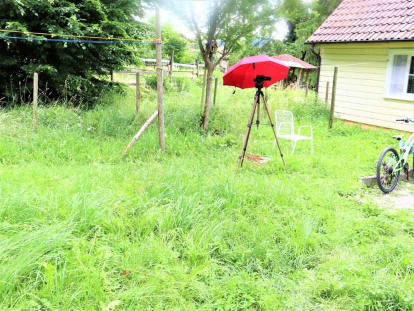camera sub umbrela - Practică foto