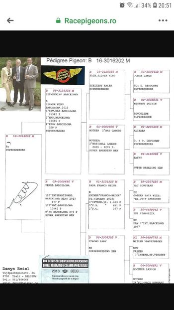 E.Denys - 2016 Loc 3 Barcelona - Masculi
