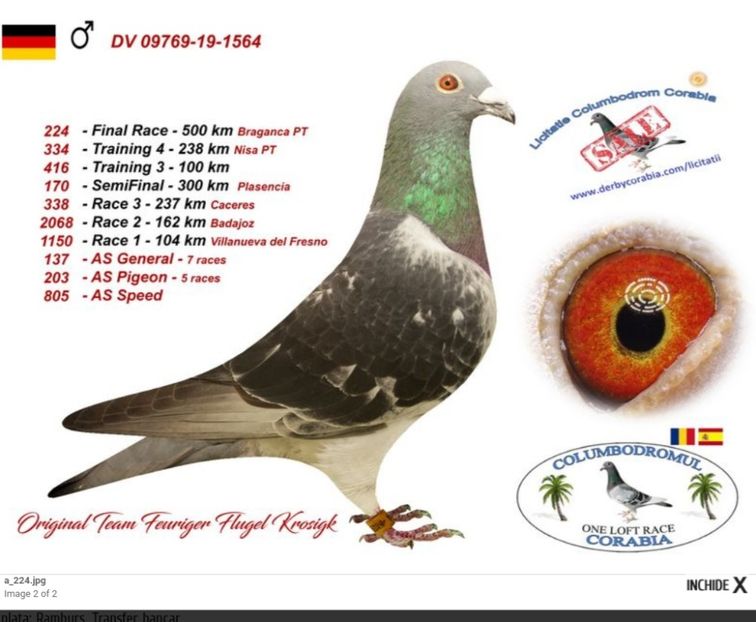 fiu loc 1-2019 - Masculi