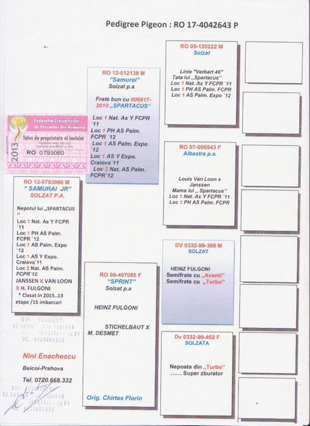 nini ena m - Masculi