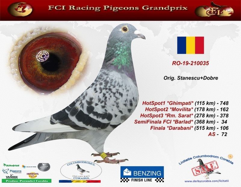 a_RO19210035 - Masculi