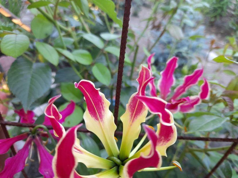  - Un nou inceput 2021