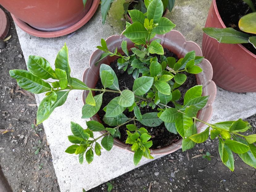  - Un nou inceput 2021