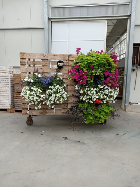 Img.2021.07.08 - A -Magazin