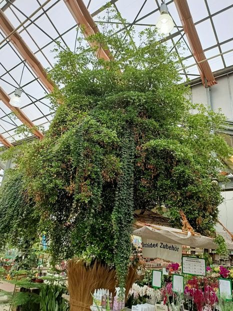 Img.2021.07.08 - A -Magazin