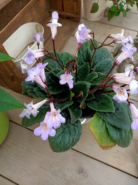 Img.2021.07.08 - A -Magazin