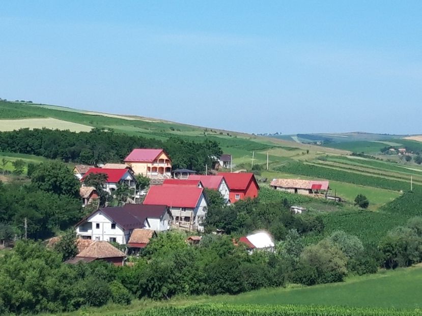  - Satu Nou